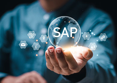 SAP platform solutions and services